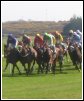 The Curragh Racecourse, Kildare Town